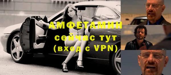 хмурый Аркадак