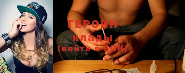 хмурый Аркадак