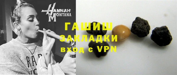 хмурый Аркадак