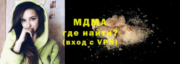 хмурый Аркадак
