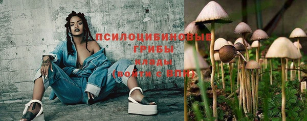 дживик Армянск