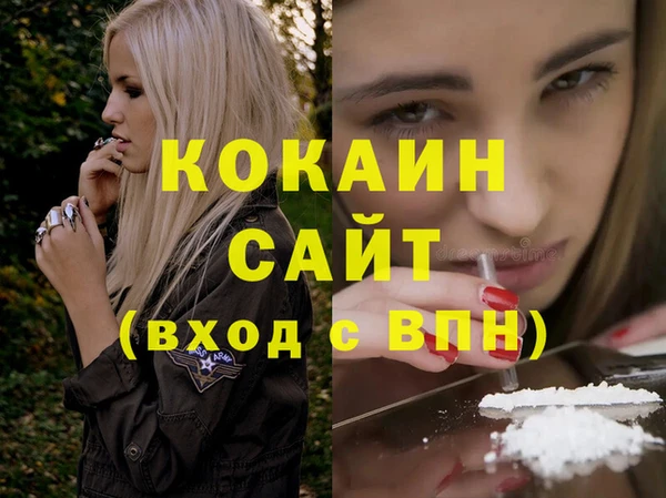 хмурый Аркадак
