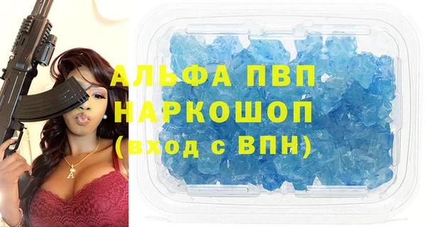 хмурый Аркадак