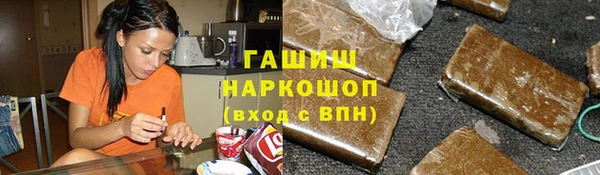 хмурый Аркадак